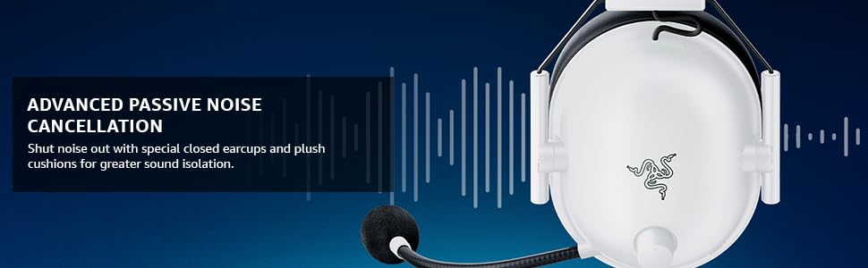 Advanced Passive Noise Cancellation