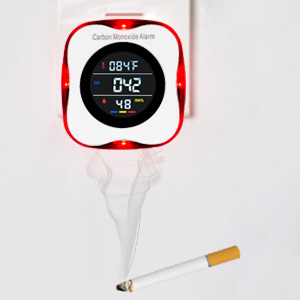 Plug in CO Sensor