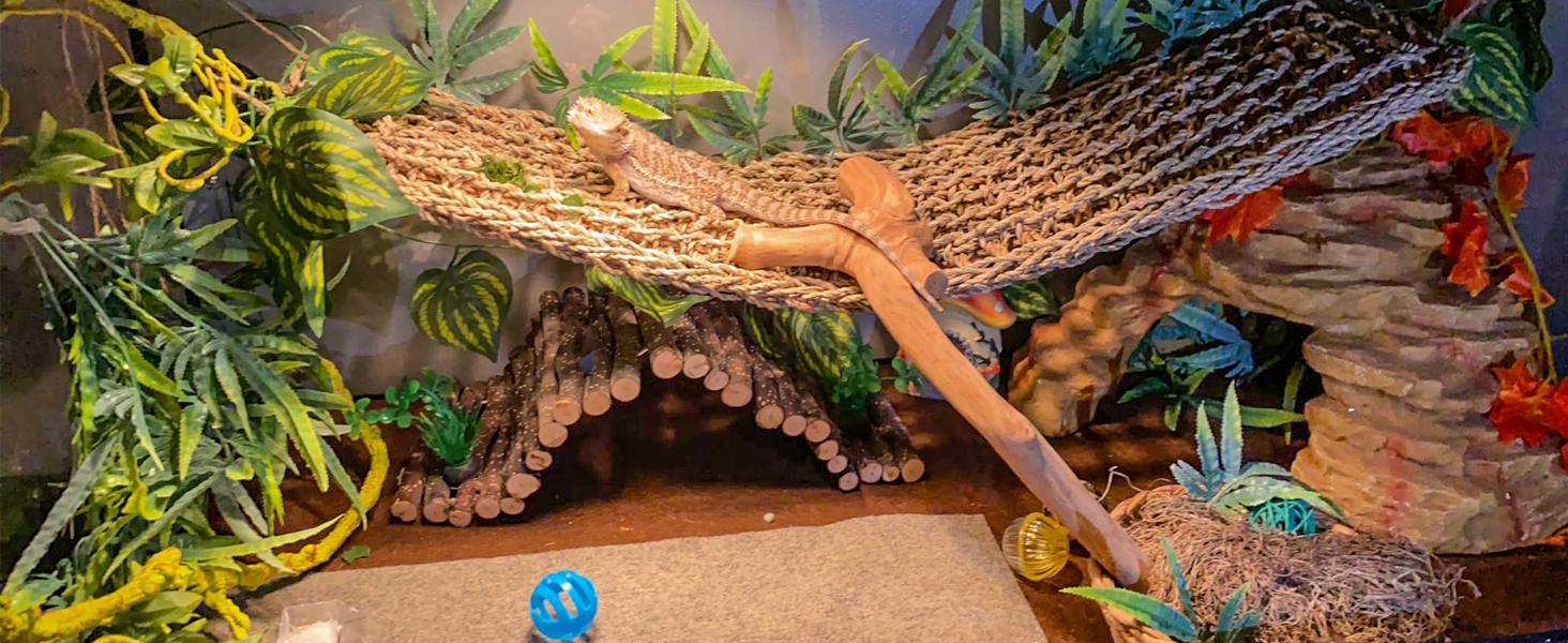 Bearded Dragon Hammock