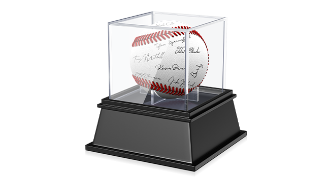 Baseball Display Case