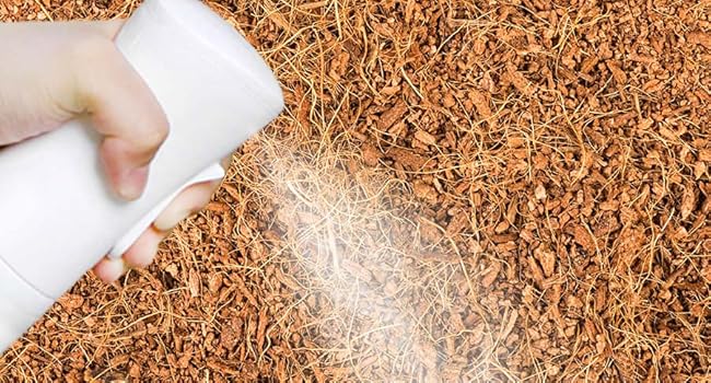 substrates, dynamic element, bearded dragon, reptile odor control