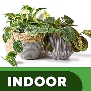 Indoor