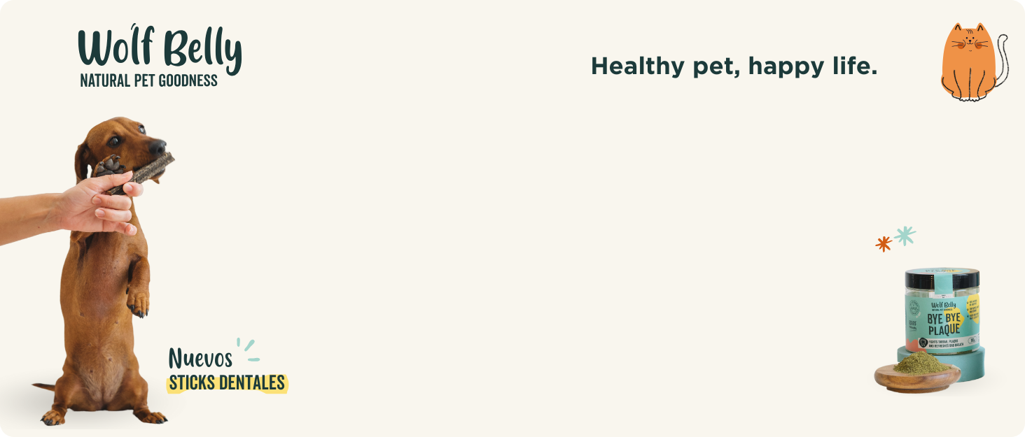 de comida para mascotas con un perro y un tarro de producto. El texto dice «Bien Vientre» y «Mascota Sana,