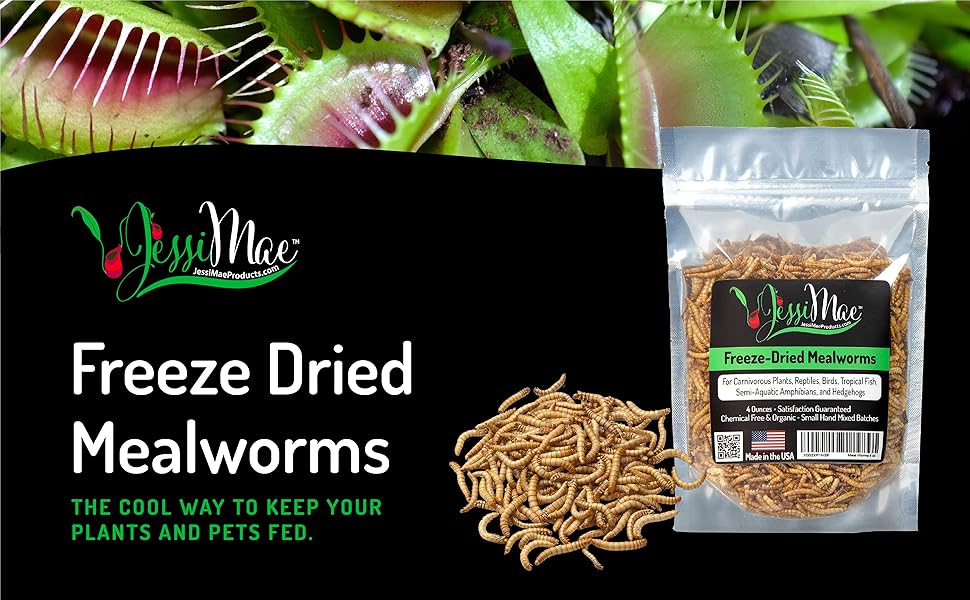 Jessi Mae Freeze Dried Mealworms Natural Protein Meal