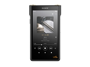 【未開封・未使用】SONY WALKMAN NW-A45NMツーリスト商品 ソニー メモリ内蔵型ウォークマン - TOWER RECORDS ONLINE