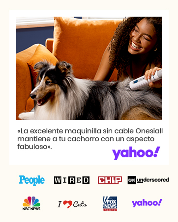 oneisall Dog Hair Clippers with Vacuum Hair Clipper, Vacuum 99% Pet Hair, Quiet Clipper Machine for Dogs and Cats and Other 7 Grooming Tools (Blue) 16 Mujer que usa una herramienta inalámbrica para el cuidado de mascotas sobre un perro de pelo largo sentado en un sofá naranja. Debajo de la imagen se muestran varios logotipos multimedia