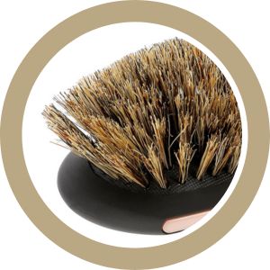 brosse en poil de sanglier