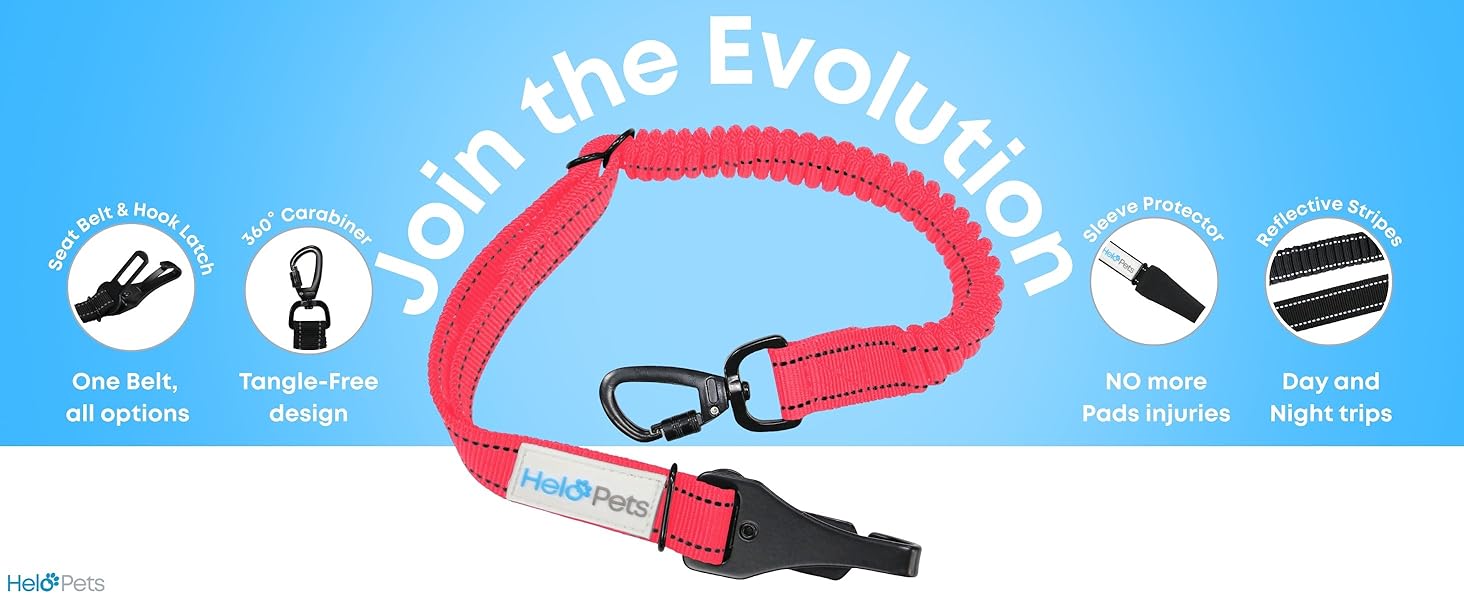 Dog Seat Belt for Car