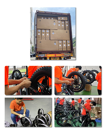 Adult Electric bike