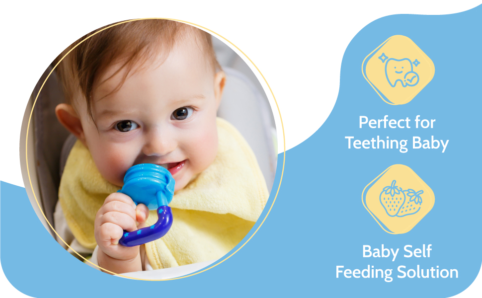 Silicone Baby Fresh Fruit and Food Feeder, Pacifier