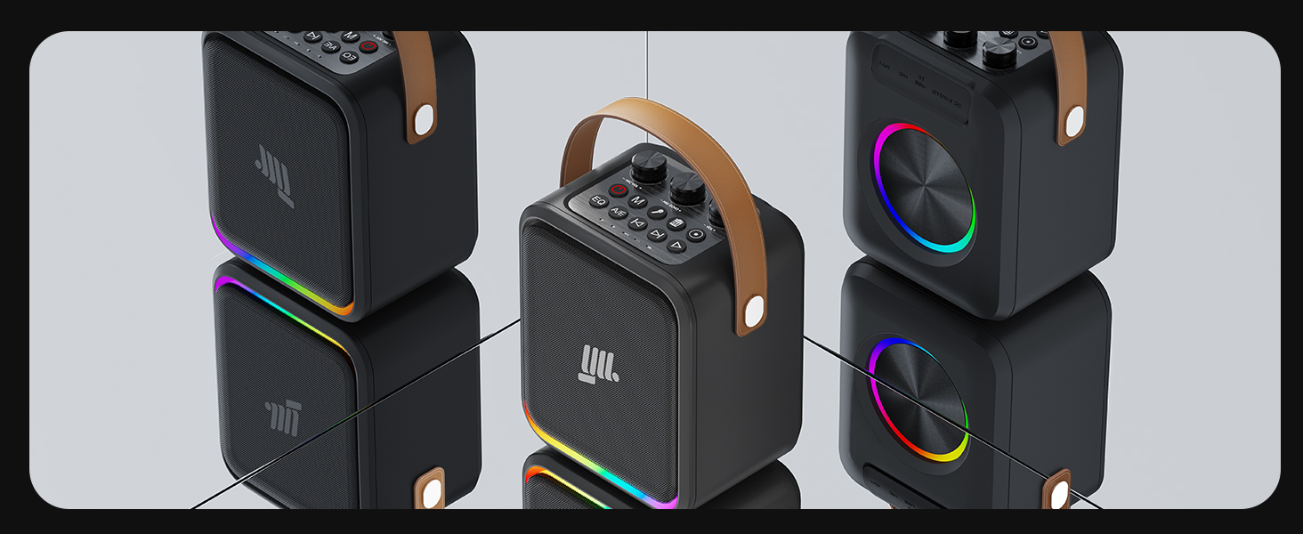 YLL Portable Bluetooth Speaker with 2 Wireless Microphones