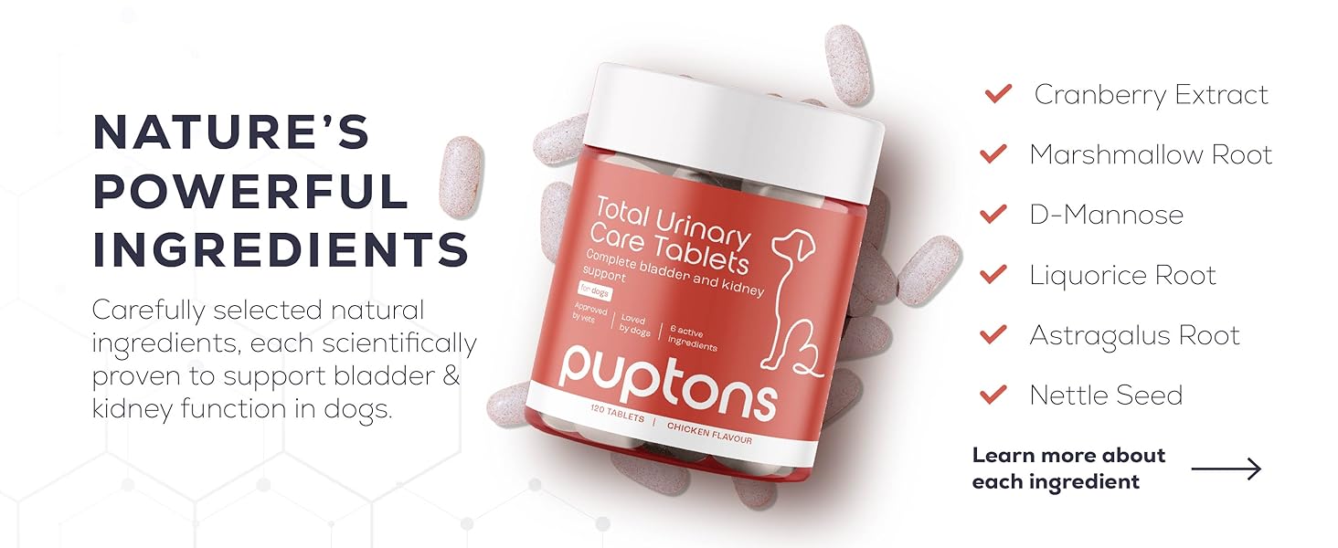 UTI Treatment Dogs Incontinence Cystitis Kidney Bladder Tablets Total Urinary Care