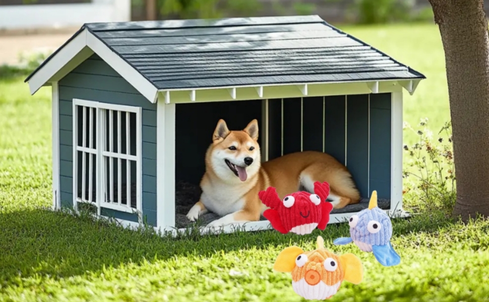 Dog Gift