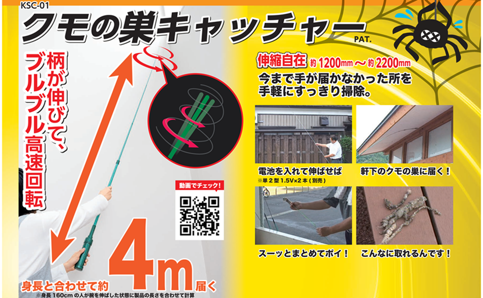 雲の網 魔女のほうき星雲（網状星雲西側 NGC6960）を、R200SS鏡筒で