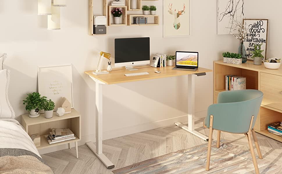 FLEXISPOT EF 160x80 Standing Desk Electric Office Desk Height