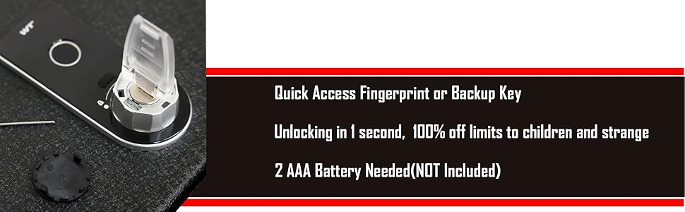 fingerprint lock with backup key console safe