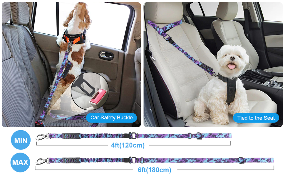 adjustable dog leash