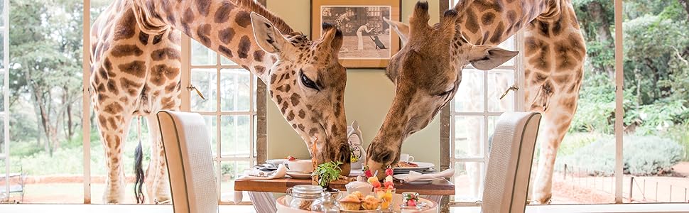 Unusual Hotels of the World: 50 unique hotels from around the World (Jonglez Photo Books) (Jonglez Photographic Journeys) 7 giraffes having breakfast