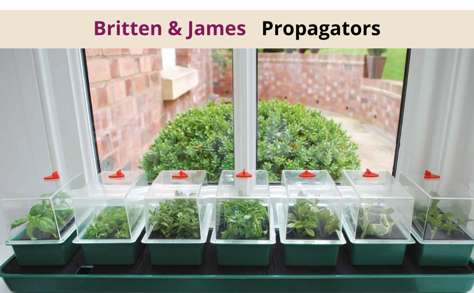 Britten and James Propagators, 7 mini propagators on a windowsill, with seedlings growing inside