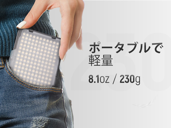Amazon | Neewer 調光176 LEDビデオライトセット：176LEDパネル