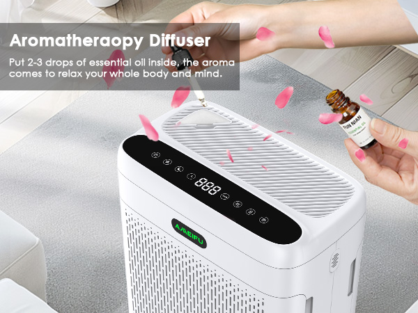 Air Purifiers for large room