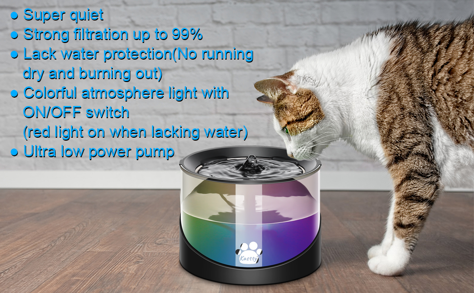 pet fountain