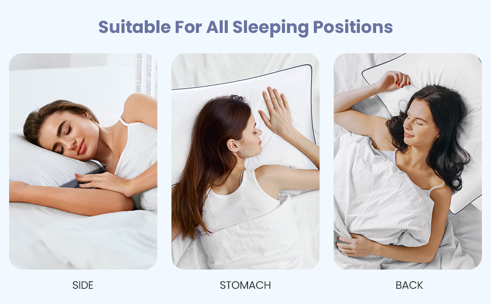 Maxzzz Down Alternative Fill Hotel Quality Pillows 2 Pack Luxury Hotel