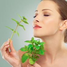 Small manufacture image 5