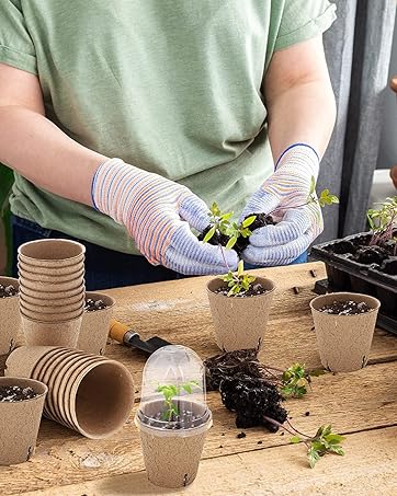 peat pots