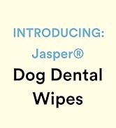 dog dental