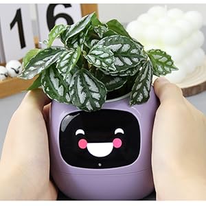plantagotchi planter
