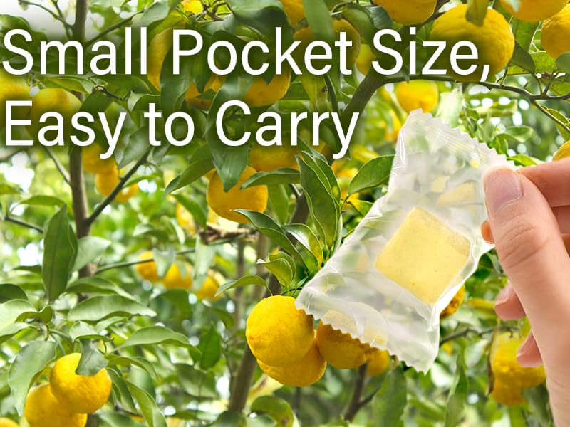 YAMASAN KYOTO UJI Yuzu Mochi Candy - Yuzu Citrus Japanese