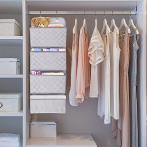 Over door hanging organzier