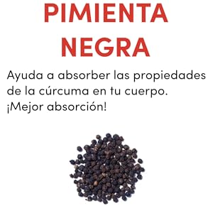 pimienta negra absorbcion nutrientes antioxidante antiinflamatorio bajar de peso