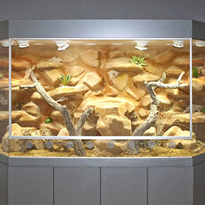 tortoise basking platform decor