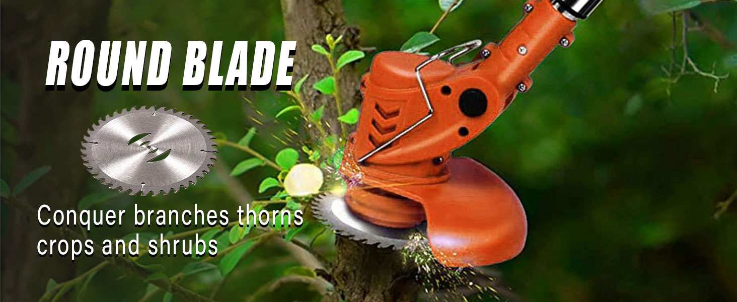 aa