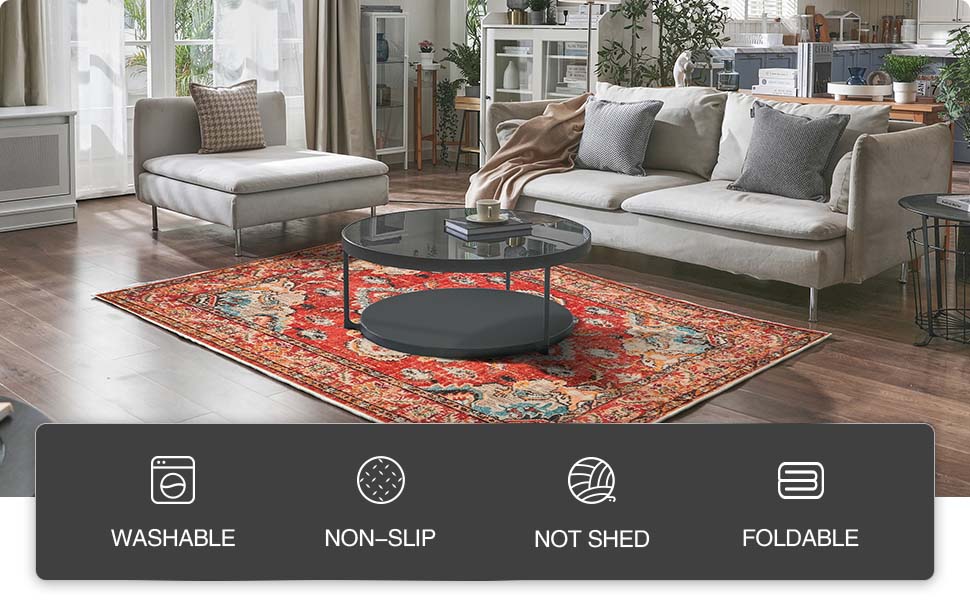 Odentblca Small Rug,2x3 UltraThin Area Rug, Boho Entryway Rug,Washable