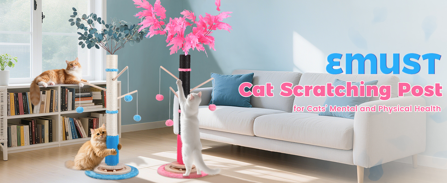 Cat Scratching Posts