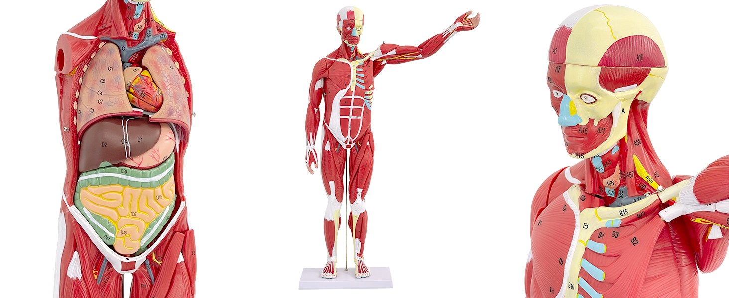 Large manufacture image 1