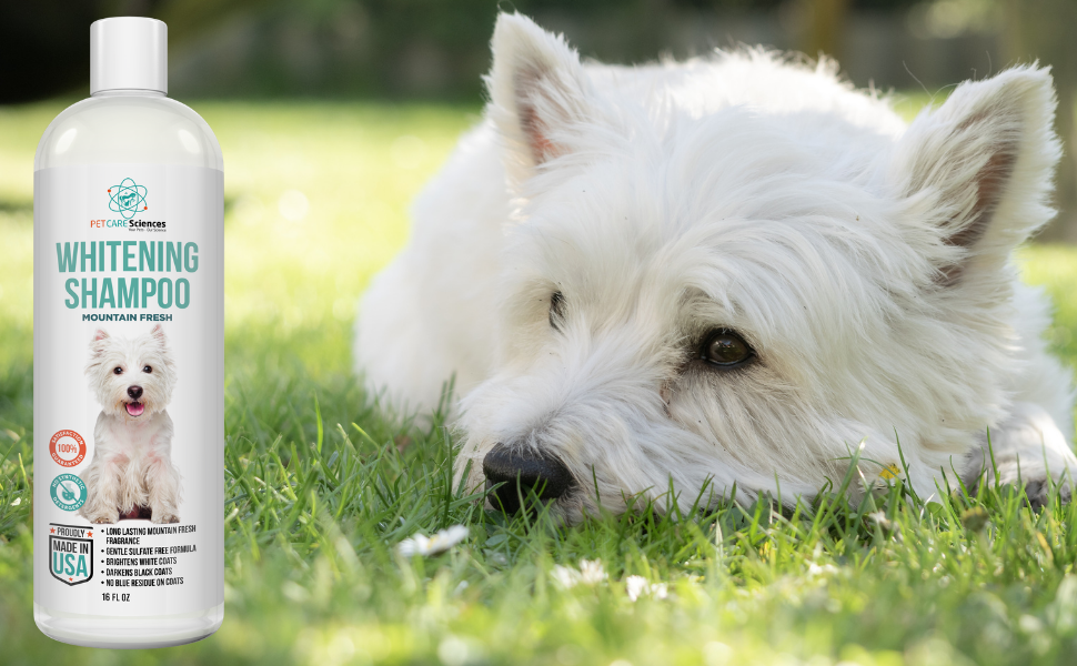PET CARE Sciences 16 fl oz Dog Whitening Shampoo Dog