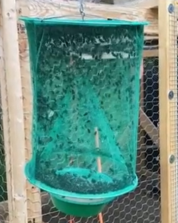 Glovv ranch fly trap