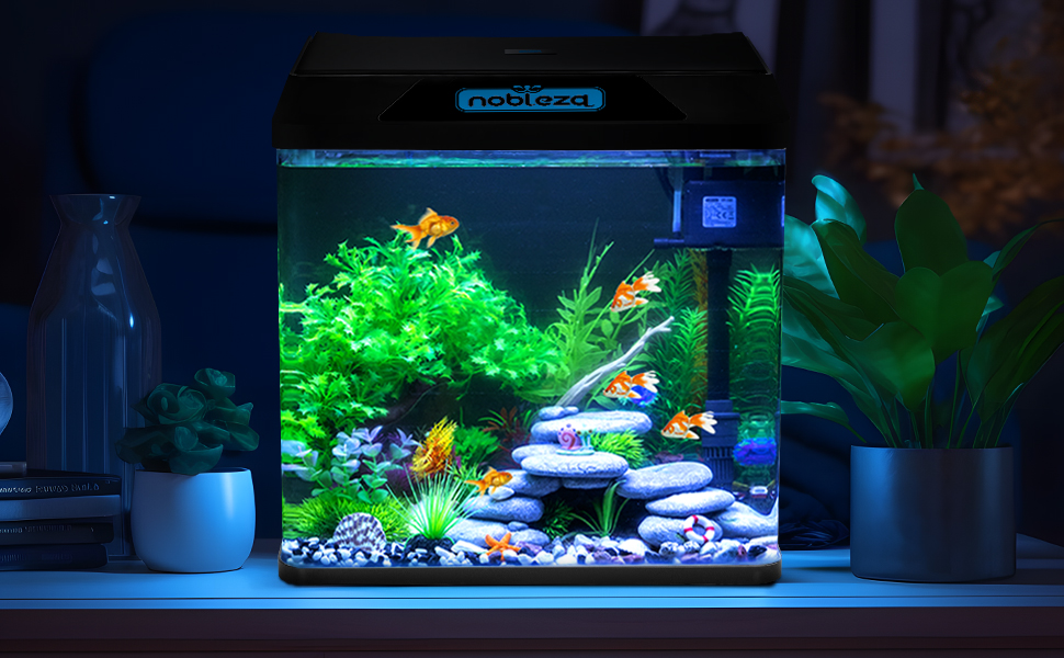 Das Aquarium ist eine tolle Möglichkeit, Ihre Fische im Wasser zu halten.