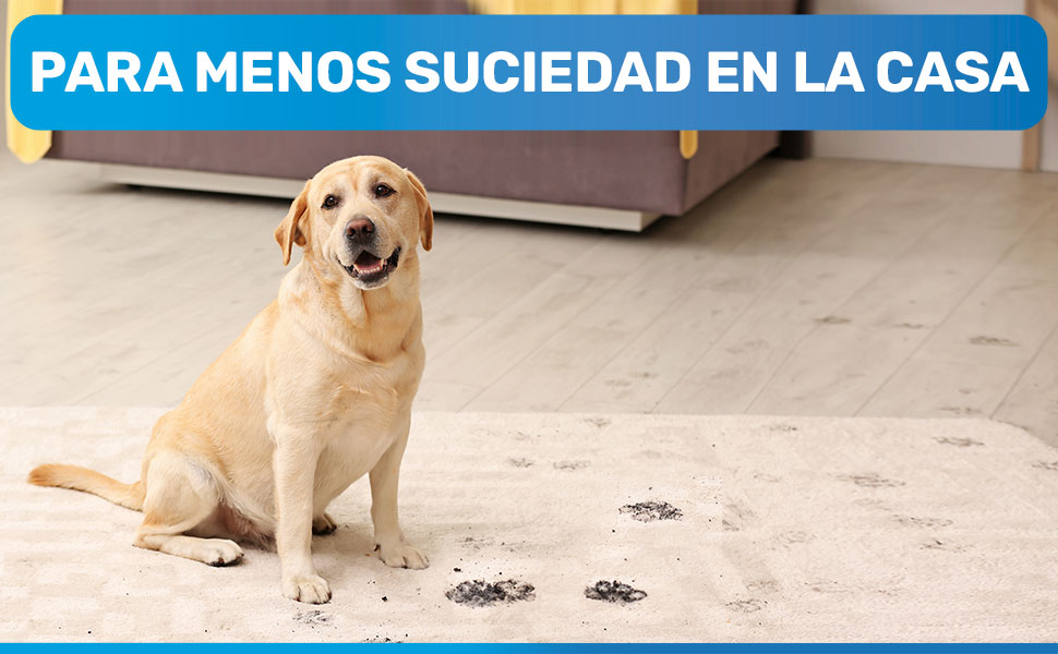 BluePet Limpiador de Patas para Perros | Elimina la Suciedad y la mugre de Las Patas de los Perros
