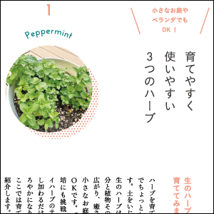 メディカルハーブ会員誌★45冊　アロマ　健康　趣味　癒し　ガーデニング　春夏 710jU7ovkiL._UF350,350_QL80_.jpg