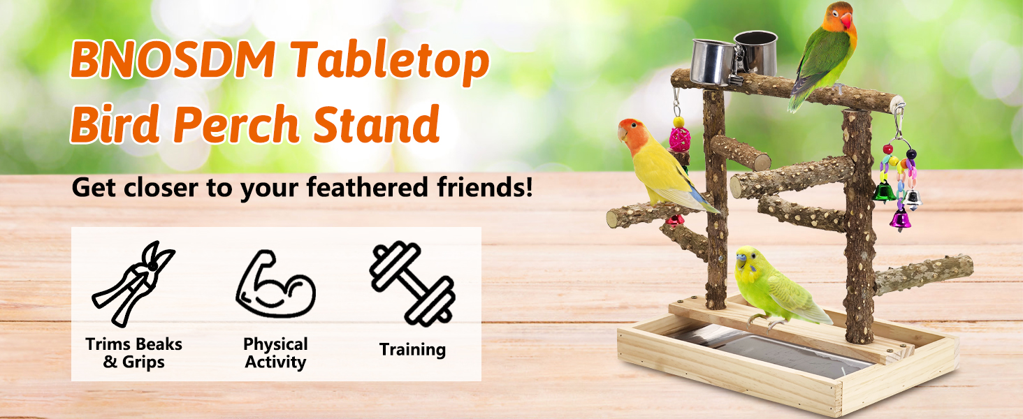 Stronger base, extra branches, and moveable toys, Multiple heights keep birds active and entertained