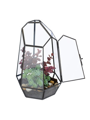 Glasterrarium mit geometrischer Form, offener Tür, mit kleinen Pflanzen und Sukkulenten. Schwarzer Metallrahmen mit transparenten Paneelen, geeignet für den Innengartenbau oder die Dekoration.