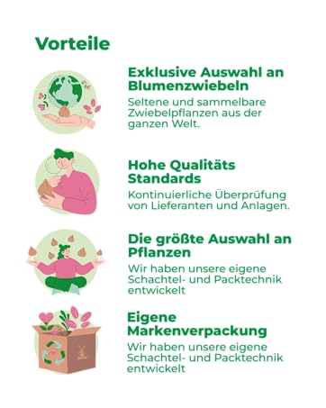 Vorteile, für die dutch-bulbs.com gewählt wird