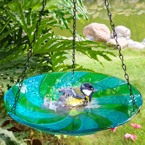 11 Inch Hanging Bird Feeder Outdoor