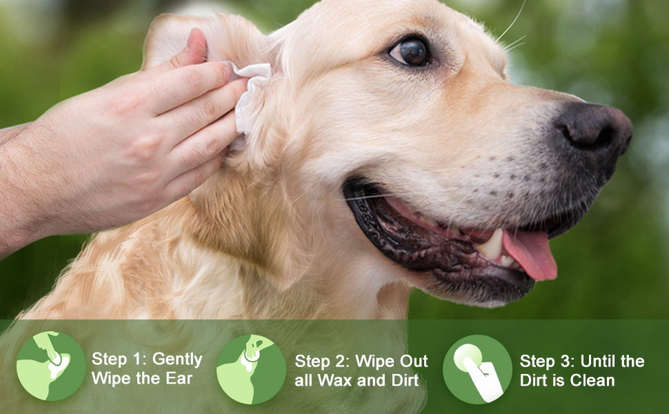 dogs ear wipes