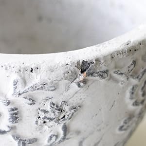 Amazon.co.jp: 植木鉢 プランター 白 フラワーポット アンティーク